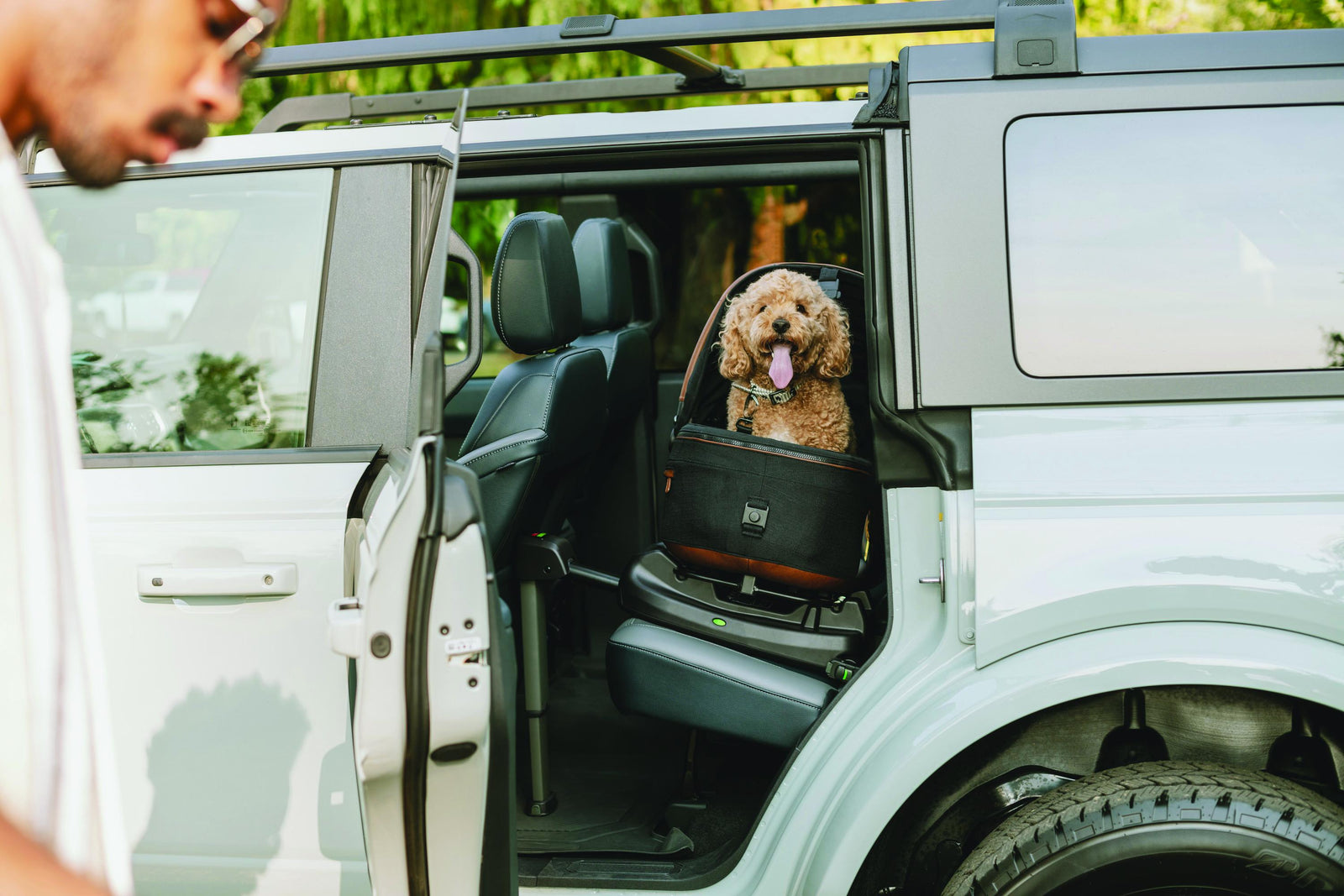 Pet Travel Accessories
